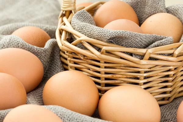 Poland's Egg Export Revenue Plummets to $5.5M in October 2023